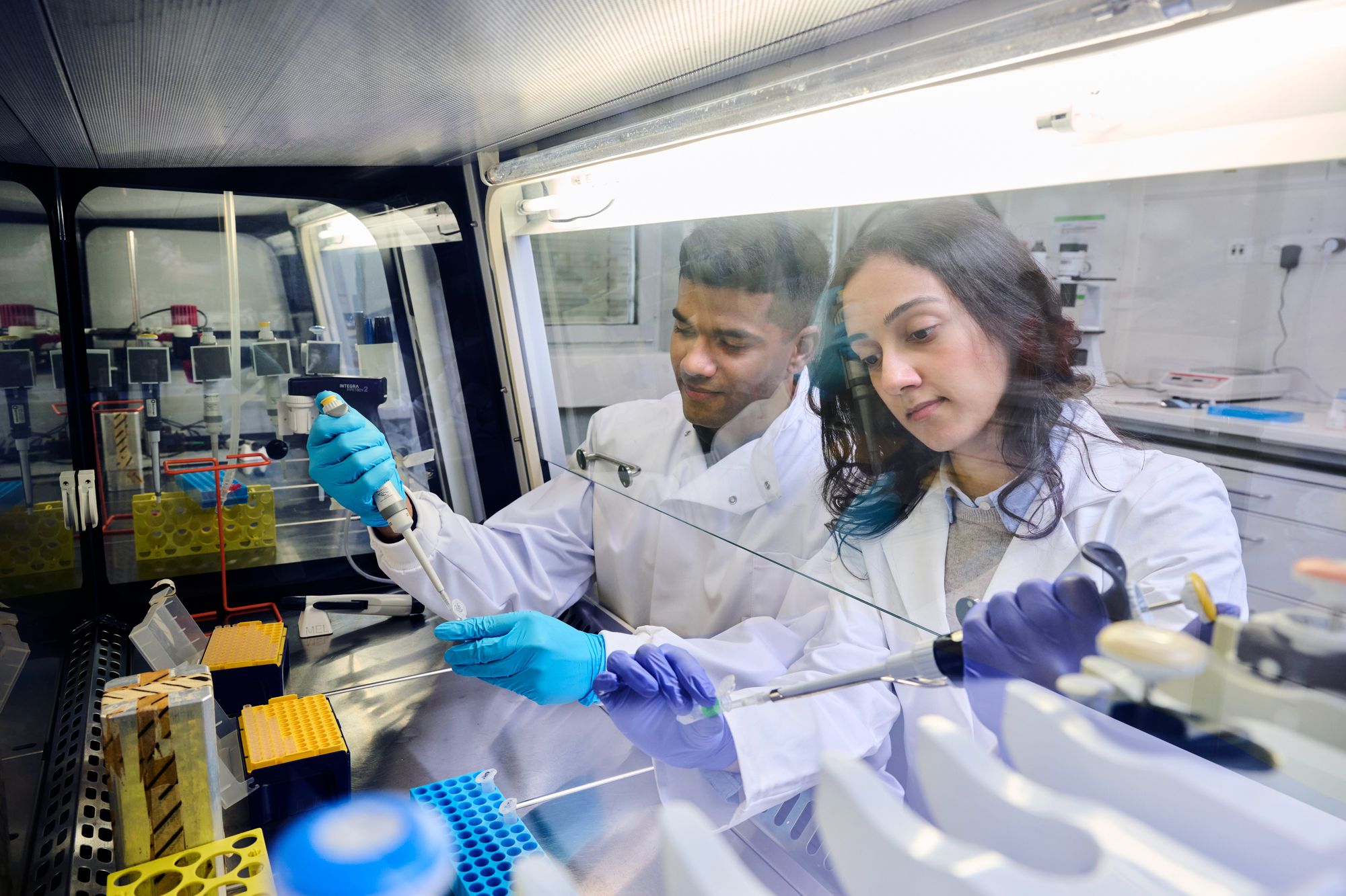 Apoorv Singh and Börte Emiroglu pipetting samples at a lab bench